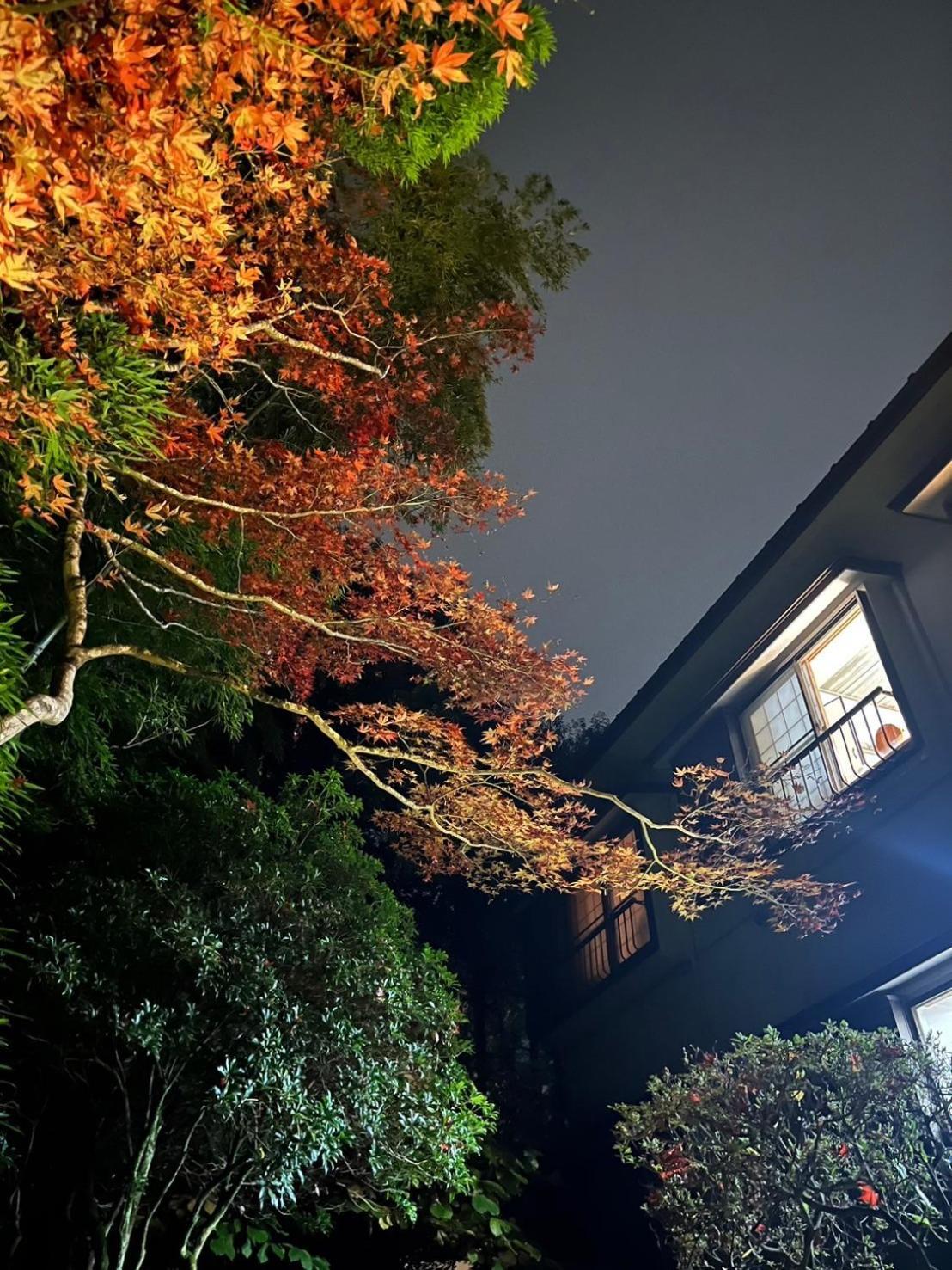富士箱根旅馆酒店 外观 照片